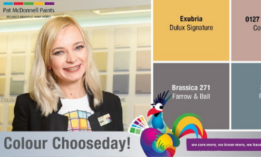 Colour Consultants “Colour Chooseday”